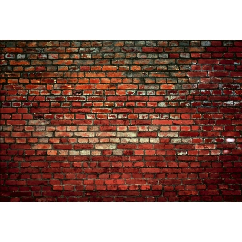 MS-5-0166 Brick wall