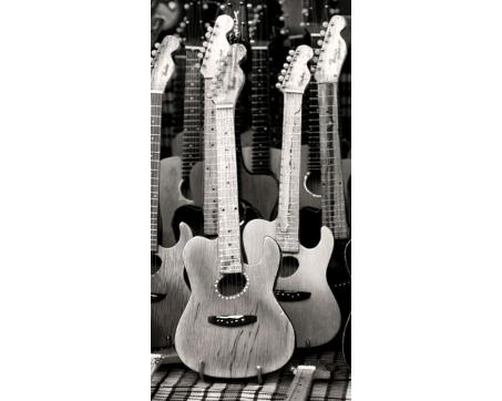 FL-85-023 Gitaros