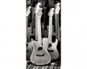 FL-85-023 Gitaros