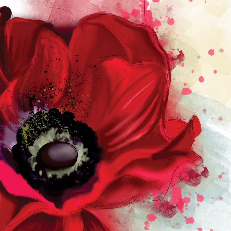 FL-006 Red poppy