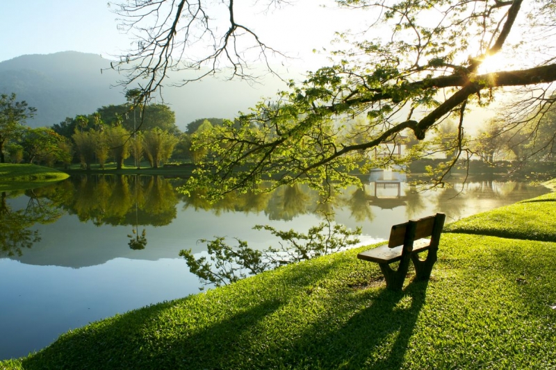 Bench in the park 