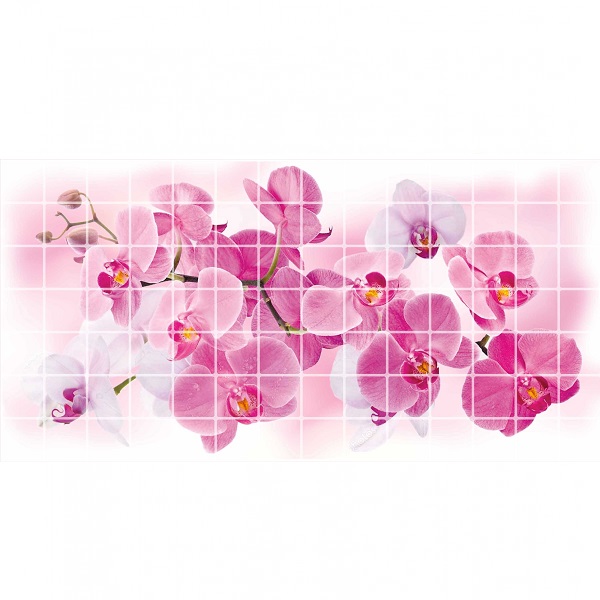 PVC plokštė TP10018768 Rosea orchidėja 