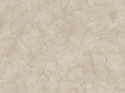 M31934 Tapetai 