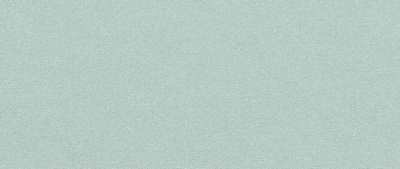 TF-11-302-06 Tapetai