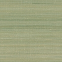 Z47846 Tapetai