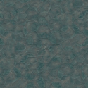 Z54505 Tapetai