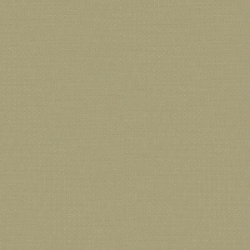 Z54513 Oбои