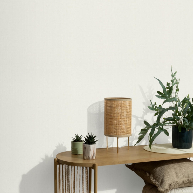 10542-01 12258-01 Oбои