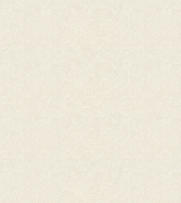 54449 Wallpaper