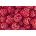 MS-5-0242 Raspberry