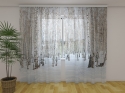 Photo curtains Winter Birch Forest