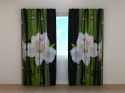 Photo curtains White Orchid and Green Bamboo