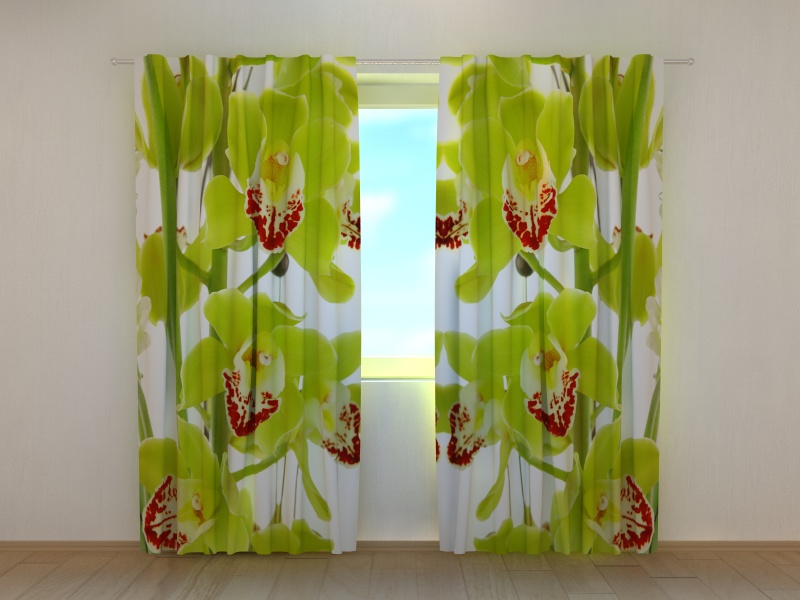 Photo curtains Orchid Liana