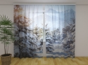 Photo curtains Winter Sun