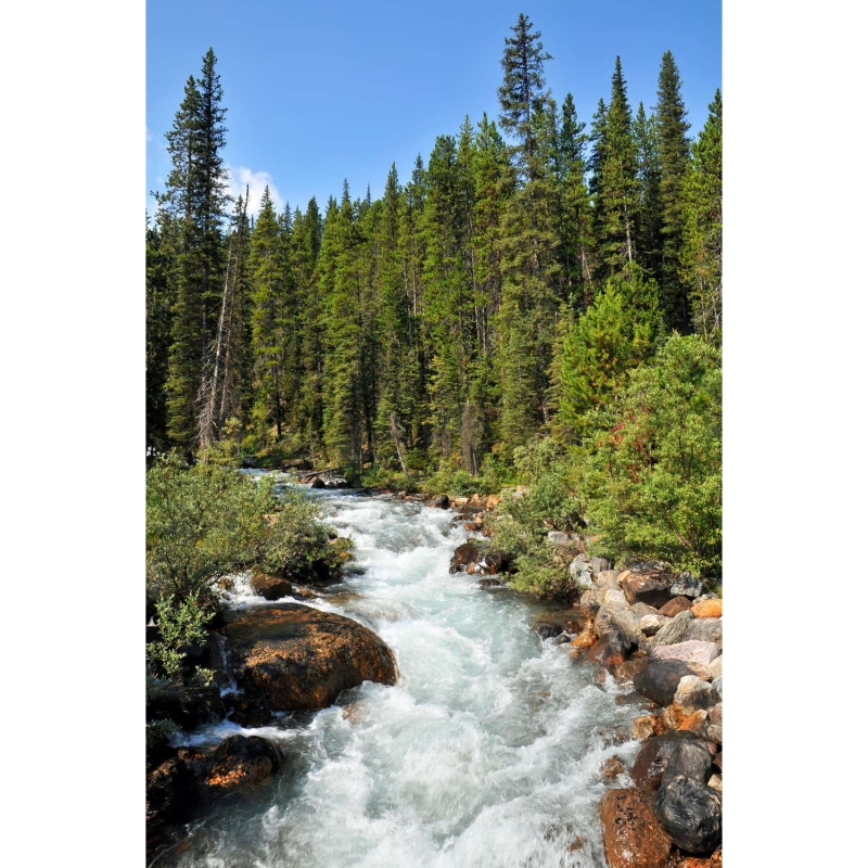 River in Canada