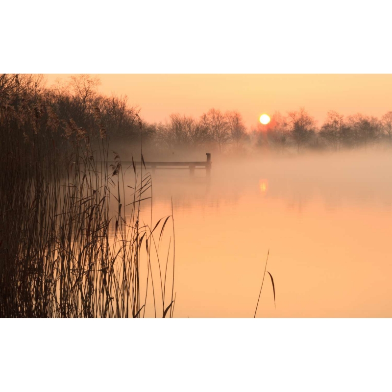 Fog over the river