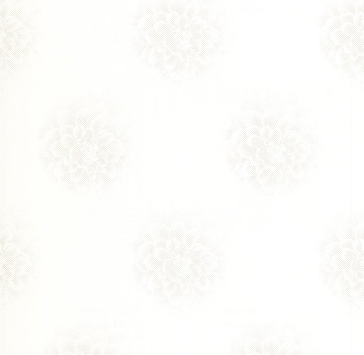 13552-40 Tapetai
