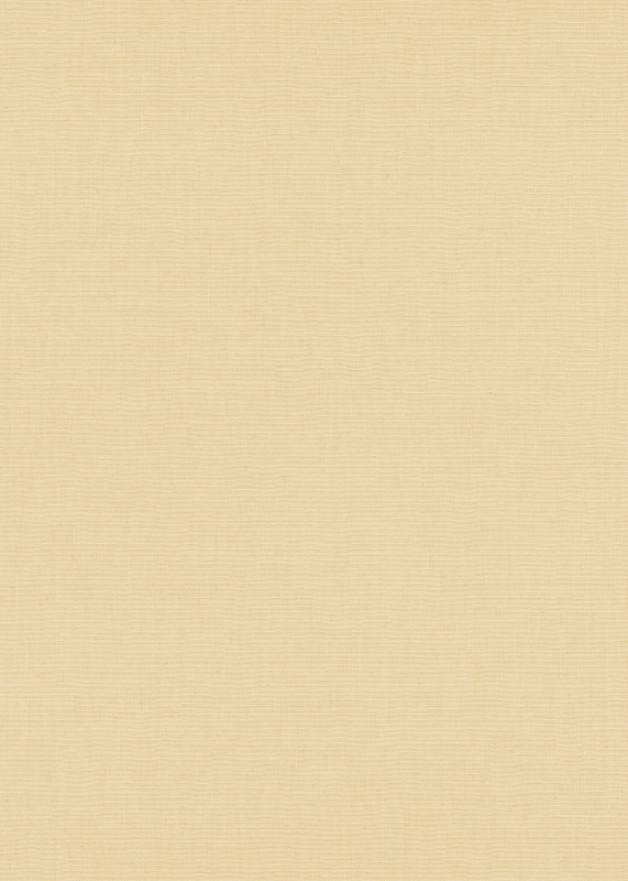 10262-02 / 12143-02 Oбои