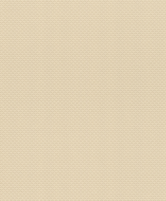 570250 Wallpaper