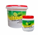 CITRUSS Abrasive Alkaline Household Pas