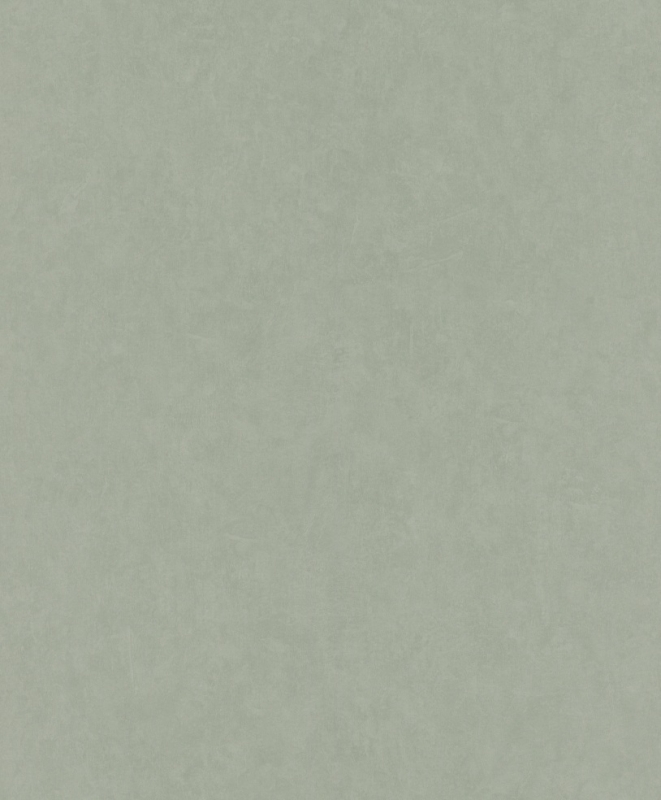 512434 Tapetai