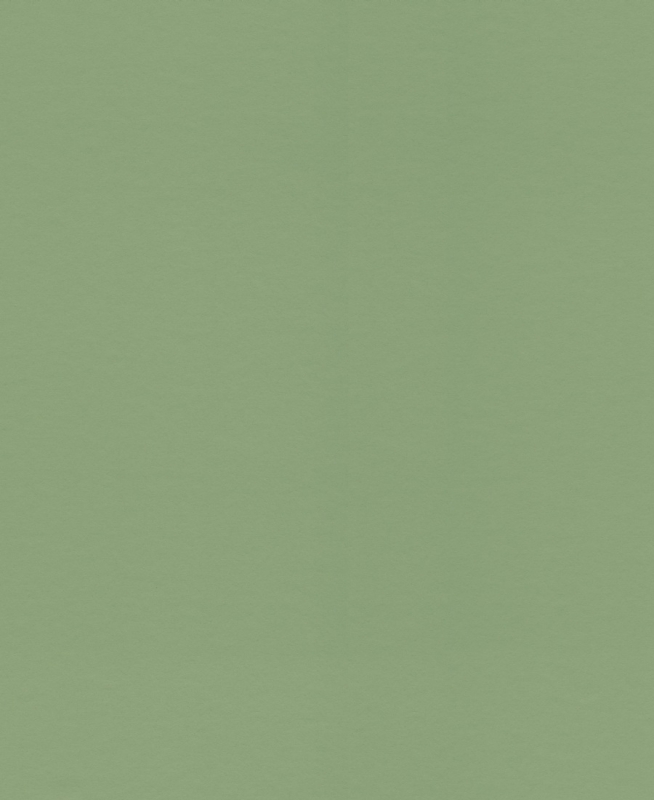 79409 Tapetai