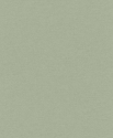 600285 Oбои