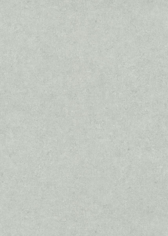 10430-24 / 12207-24 Oбои